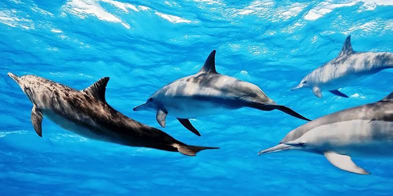 10 days Zanzibar Holiday