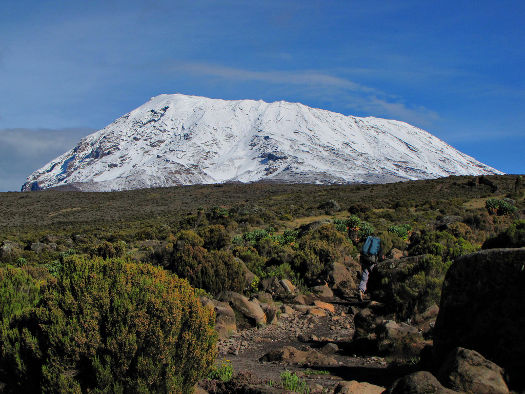 8 Day Kilimanjaro Climbing Via Northern Circuit Route